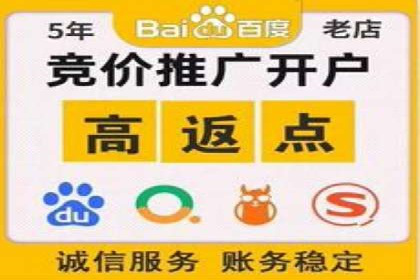百度竞价开户的五大成功案例：如何进行精准投放？